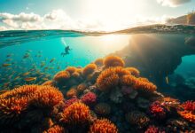 The Power of Communication: Preserving the Ocean